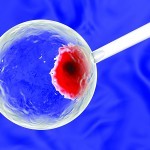 Ageing accelerated in stem cells