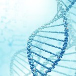 Mechanism uncovered that controls the fitness of cells, impacting ageing and disease