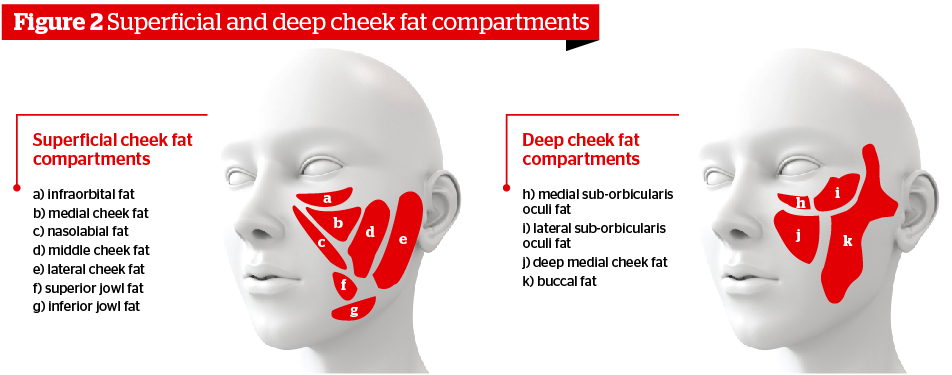 Pin On The Face Stati